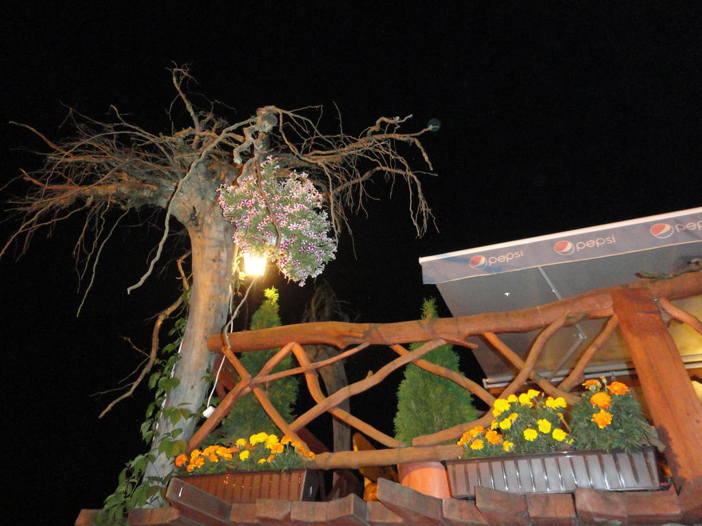 Troll Bed and Breakfast Cisna Buitenkant foto